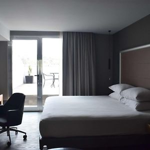 Suite con Cama King